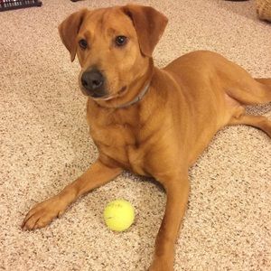 Interested in something? Send an offer!